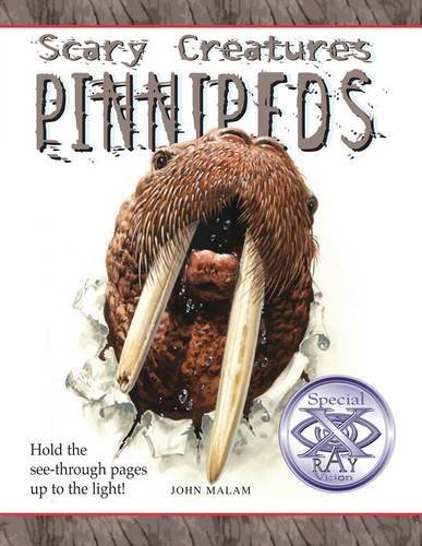scarycreatures-pinnipeds