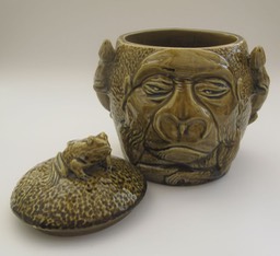 gorilla5